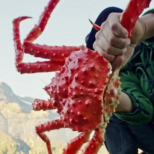 Giant King Crab roasted on a campfire! 呂 Part 1 | Hurt Alfredo | Facebook