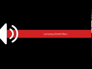 Cat Eating SOUND Effect