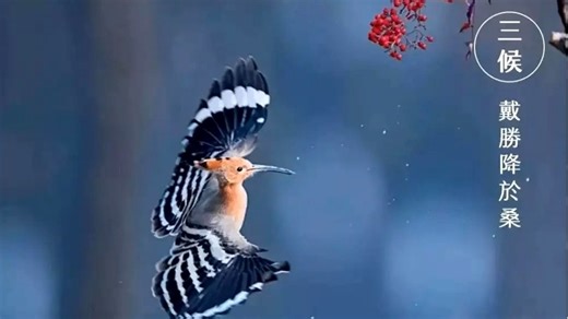 西门子洗衣机维修中心|24小时全国统一售后受理中心电话4008899746