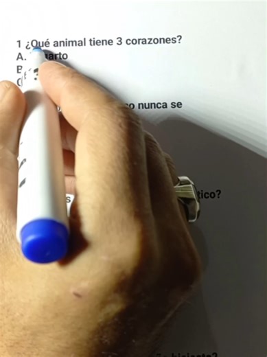 Anatomy Quiz Challenge: Test Your Knowledge!