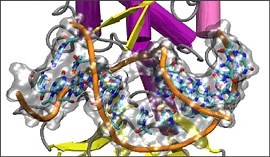 Share Your Science: Transforming Drug Design with Molecular Dynamics | NVIDIA Technical Blog