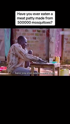 Have you ever eaten a meat patty made from 500000 mosquitoes? #mosquito #africa