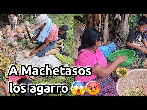 My grandpa lost control of his machete and almost hit my grandma 😡😱