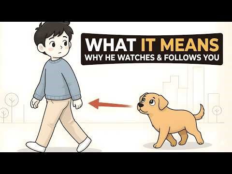 Your Dog Follows You for This Reason (It's Not What You Think)