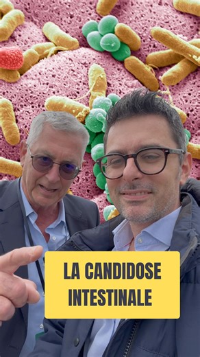 Docteur Laurent Fogel on Instagram: "Le SIFO — Small Intestinal Fungal Overgrowth, autrement dit une prolifération fongique de l’intestin grêle 🧫 ⸻ ⚠️ Quelques signes qui peuvent mettre la puce à l’oreille : ✨ Ballonnements après les repas ✨ Troubles du transit (alternance diarrhée/constipation) ✨ Envies de sucre non rythmées dans la journée ✨ Fatigue chronique inexpliquée ✨ Brouillard mental (brain fog) ✨ Sensation de fermentation ou d’inflammation digestive persistante ✨ Prurit anal ✨ Mycoses