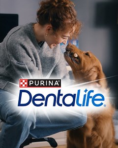 Part healthy routine. Part tasty treat. That’s DentaLife. | DentaLife