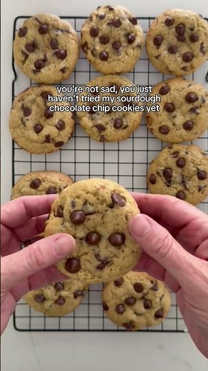 you're not sad, you just haven't tried my sourdough chococlate chip cookie recipe
