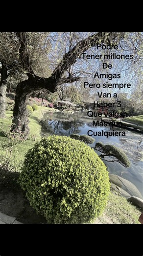 Frases para dedicar a tu mejor amiga: 3 amigas que valen más