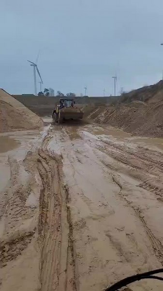 🤩#cat#950#kieskuhle#