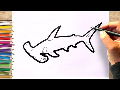 Comment dessiner un requin marteau facile
