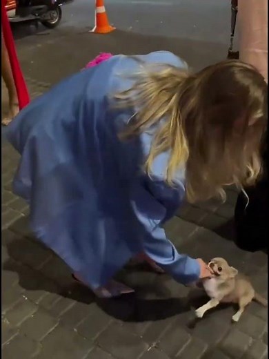 Hilarious Funny Clips That’ll Make You Snort – Instant Mood Booster! 😂🔥