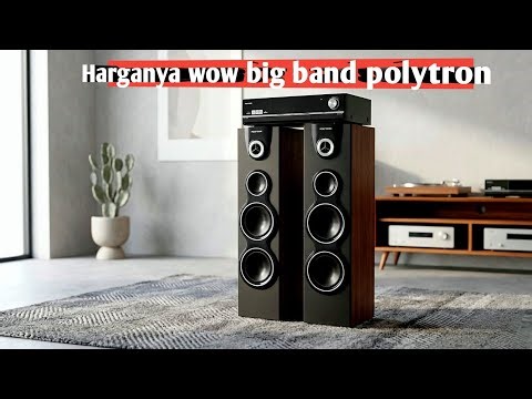 Harga speaker big band polytron 5201