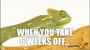 9K views · 71 reactions | Recover quickly and get back at it with Pro Performance 100% Whey. | GNC Live Well | Facebook