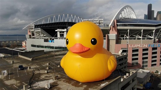 Duck! It's the Seattle Boat Show