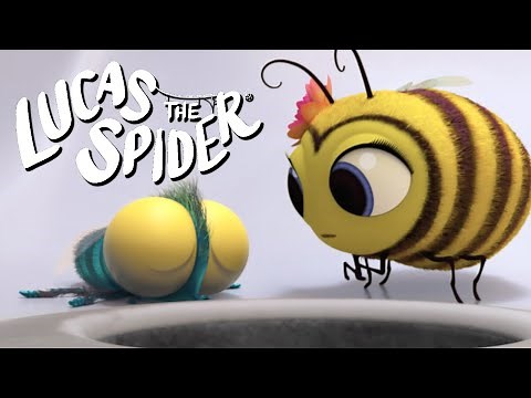 Will Findley get over his BIGGEST FEAR?