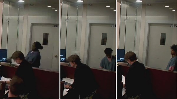 Suspects accused in Central Library stabbing, assault appear in Multnomah County court