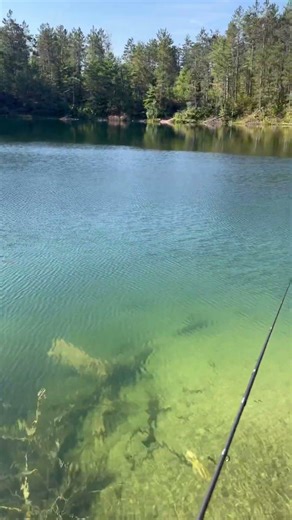 Fishing crystal clear crater lakes in the Pigeon River state forest