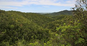 Sabana Grande