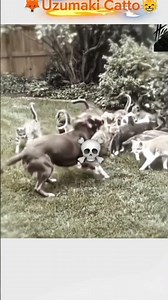 😅🤣real life keba #naruto #animegameycosplay #kebahakamaru #keba #narutoshippuden