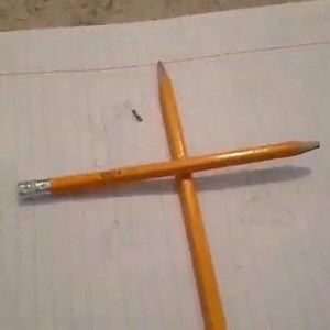 I'm crying | On vines