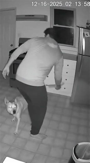 🔥🐶 Dog Alerts Owner to Gas Leak! 🏠💨 Real Home CCTV #DogSavesOwner #HomeEmergency #GasLeakAlert