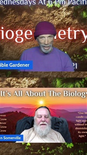 The Aura of Life: Understanding Biogeometry