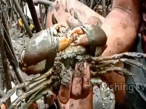catching Best Quality CRAB in wild area , Amazing Crabbing🦀🦀 | Fishing TV