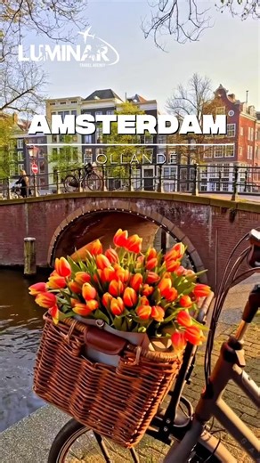 Luminar Travel on Instagram: "🌷 Hollanda në sezonin e tulipanëve Aty ku ndjesitë bëhen një me natyrën 🎬✨ 📅 Datat dhe çmimet e paketave: ✈️ 11–13 Mars – 258€ / personi Me fluturim direkt Tiranë–Eindhoven ✈️ 30 Mars – 01 Prill – 310€ / personi Me fluturim direkt Tiranë–Eindhoven ✈️ 04–06 Prill – 445€ / personi Me fluturim direkt Tiranë–Amsterdam ✈️ 11–13 Prill – 420€ / personi Me fluturim direkt Tiranë–Amsterdam 💼 Në çmim përfshihet: ✔️ Bileta e avionit me çantë shpine ✔️ Akomodimi në hotel (2