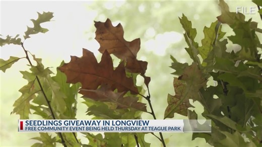 9.8K views · 45 reactions | The Texas A&M Forest Service and the Longview Parks and Recreation Department are partnering up to hand out more than 600 seedlings to residents. The seedlings will be handed out at Teague Park in Longview. Seeds provided will include pecans, osage orange and several more. | KFXK FOX51 | Facebook