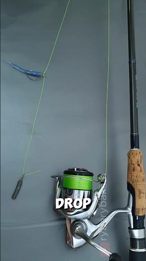 How to Tie a Drop Shot Rig (EASY & FAST) 🎣 #fishing #shorts