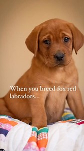 3.7K views · 330 reactions | Here is a little tip for you… If you...