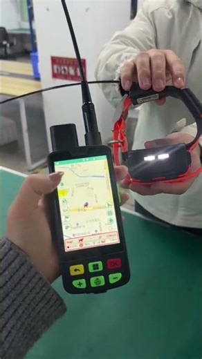 Professional outdoor hunting dog equipment