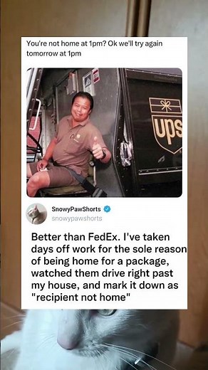 UPS Driver Says Try Again Tomorrow Same Time