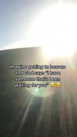 Dog Heaven: A Heartwarming Vision of Reunion