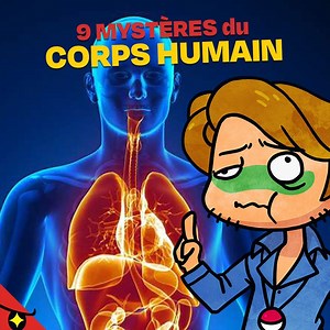 619K views · 7.5K reactions | LES 9 SECRETS du CORPS HUMAIN | Trash Videos | Facebook