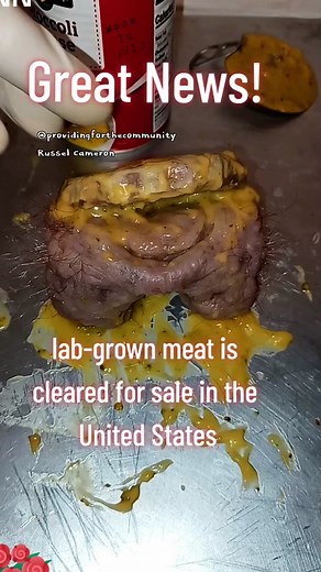 It's showtime. #labgrownmeat #labgrown #labburger | lab meat vs real meat side by side