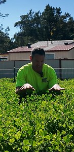 4000km of Lawn Edging. Don’t Buy a corner block. | Tim The Lawnmower Man
