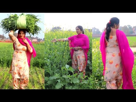 Indian Village Life💙 Rural Life of Punjab (India) Village Life style of Punjab /Culture of Punjab