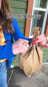 🐝 Make decoy nests out of paper bags to help keep territorial wasps and hornets from building nests nearby. #hornets #pestcontrol #hometips #outdoors #summer | Jeff & Lauren