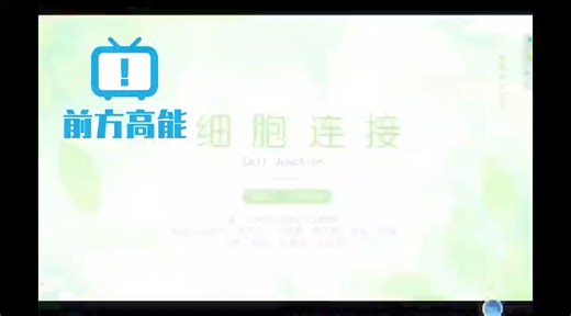 原来细胞连接有手就行（NCU细胞生物学）