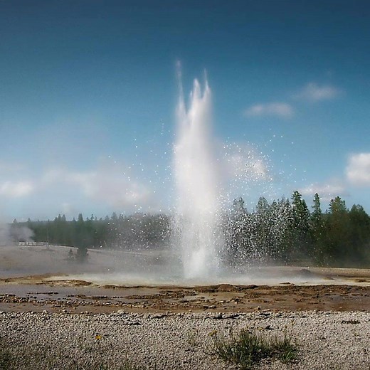 National Geographic TV on Reels