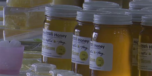 A buzzing time to learn about bees at the Michigan Honey Festival