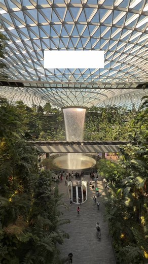 There's something special at every terminal in Changi Airport 🤭 What are your favourite sights when you're here? | Changi Airport