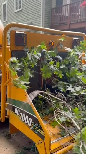 🌲do you need a tree service give us a call #treeremoval #treetrimming #Ma #viral #burlington #lexington #arlington #andover #reading #wilmington #lowell #methuen #dracut #woburn #astreeservice 🌲 | A&S Tree service