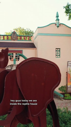 The Toledo Zoo on TikTok