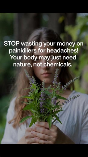 Ngwu Vivian Ujunwa on Instagram: "Before you pop another tablet, try these powerful herbs that have helped people for centuries 👇 🌿 Ginger – Fights inflammation and improves blood flow, easing tension headaches 🌿 Peppermint – Calms nerves and relaxes tight muscles (rub the oil on your temples) 🌿 Clove – Natural pain-relieving compounds that soothe head pressure 🌿 Feverfew – Known to reduce migraine frequency and intensity 🌿 Chamomile – Relaxes the nervous system and reduces stress-induced 