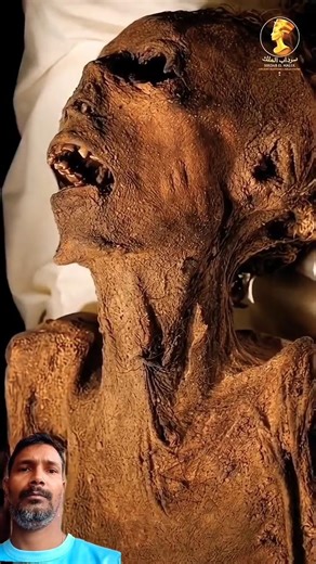 The Screaming Man Mummy (12th Century BC) 😱 | Ancient Egypt Mystery #shorts #ancienthistory #egypt