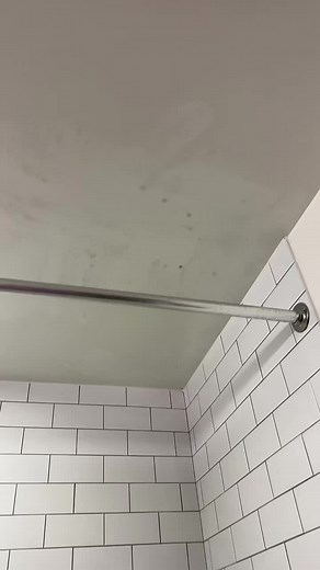 Identifying Mold in Your NYC Apartment: Black Mold on Bathroom Ceiling