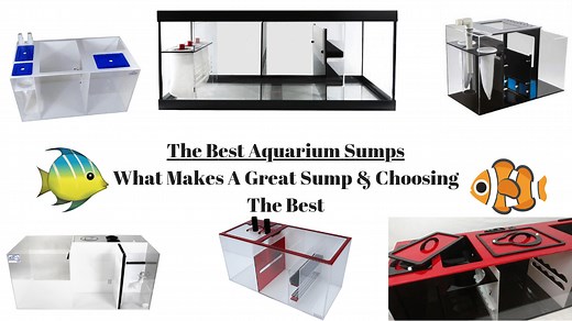 The 9 Best Aquarium Sump & Refugiums For 2024 - Tested And Reviewed