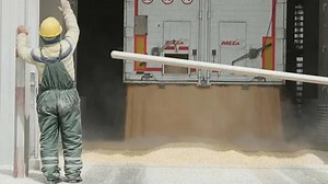 Ukrainian farmers export their harvest via Romania